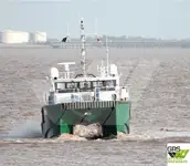 Navio de serviço para parques eólicos à venda