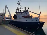 Navio graneleiro à venda