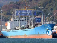 Navio frigorífico à venda