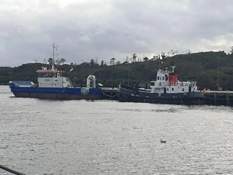 Barcos de trabalho à venda
