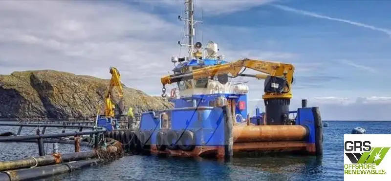 Barcos de trabalho à venda
