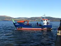 Barcos de trabalho à venda