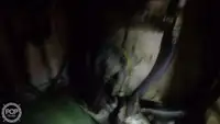 Navio de pesca de arrasto à venda