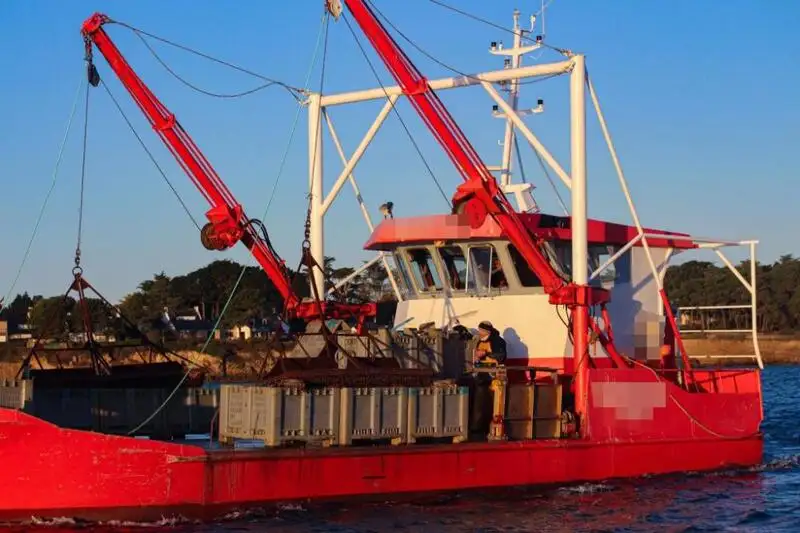 Barcos de trabalho à venda