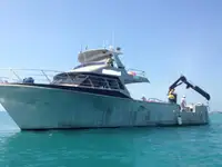 Barcos de trabalho à venda
