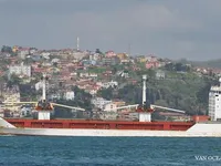 Navio frigorífico à venda