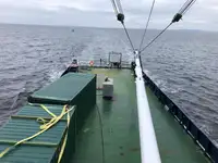 Navio frigorífico à venda