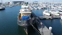 Barcos de trabalho à venda