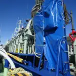 Purse seiner à venda