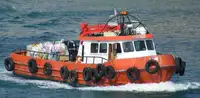 Barcos de trabalho à venda