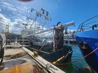 Navio de pesca de arrasto à venda