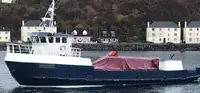 Barcos de trabalho à venda