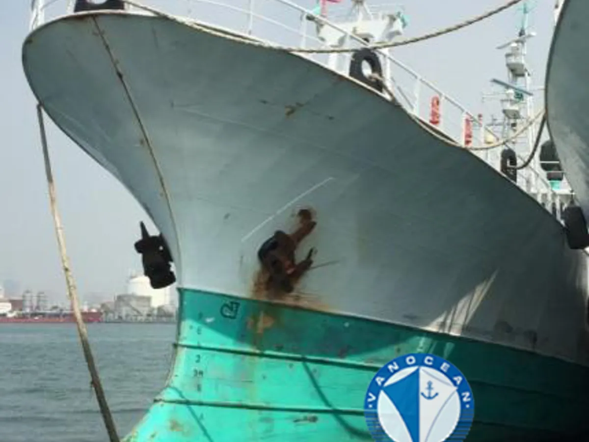 Navio de pesca de linha de mão à venda