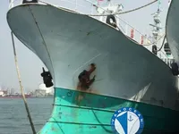 Navio de pesca de linha de mão à venda