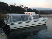 Catamarã à venda