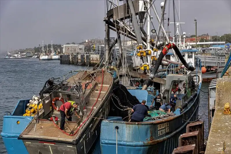 Navio de pesca de cerco à venda