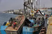 Navio de pesca de cerco à venda