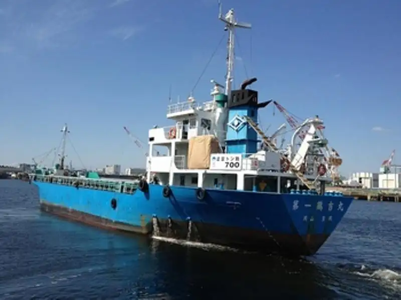 Navio graneleiro à venda