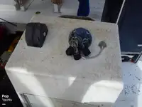 Navio de pesca de arrasto à venda