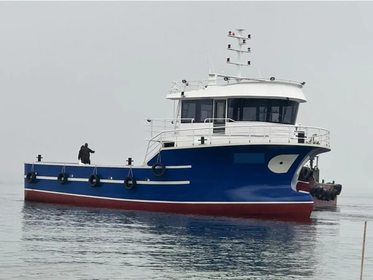 Barcos de trabalho à venda