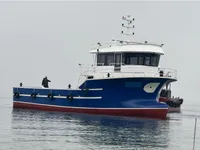 Barcos de trabalho à venda
