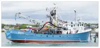 Navio de pesca de cerco à venda