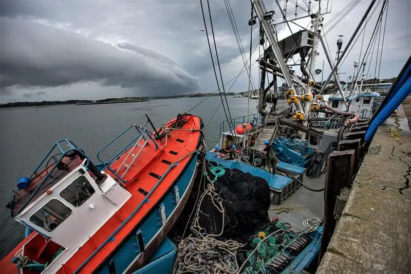 Navio de pesca de cerco à venda