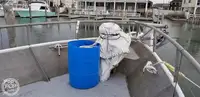 Navio de pesca de arrasto à venda