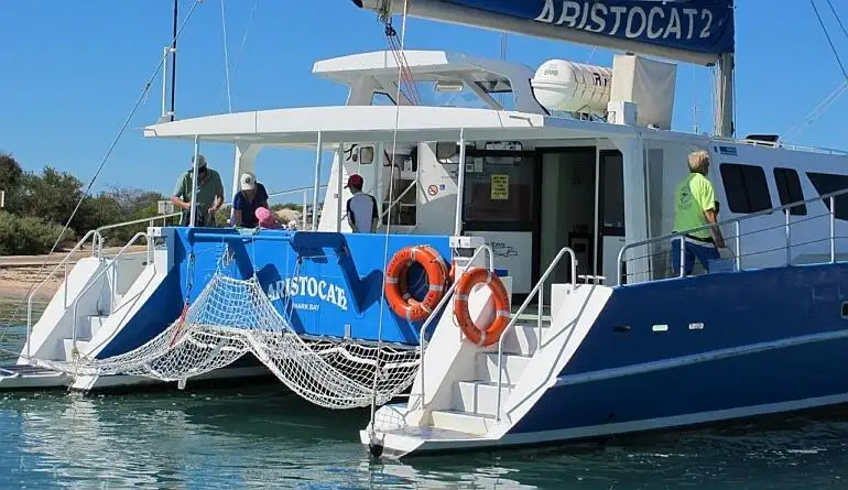 Catamarã à venda