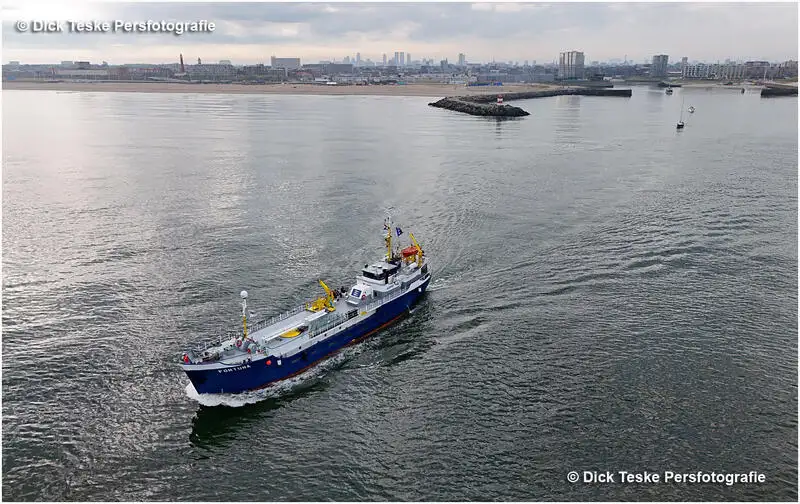 Barcos de trabalho à venda