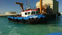 Barcos de trabalho à venda