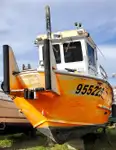 Barcos de trabalho à venda