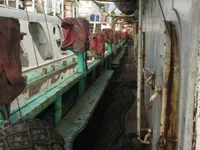 Navio de pesca de lula com anzol à venda