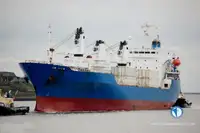 Navio frigorífico à venda