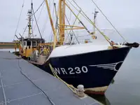 Trawler à venda
