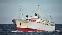 Trawler à venda