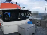 Catamarã à venda