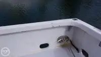 Apoio a mergulho à venda