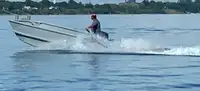 Barcos de trabalho à venda