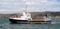 Purse seiner à venda
