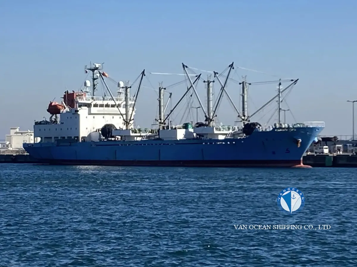 Navio frigorífico à venda