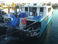 Catamarã à venda