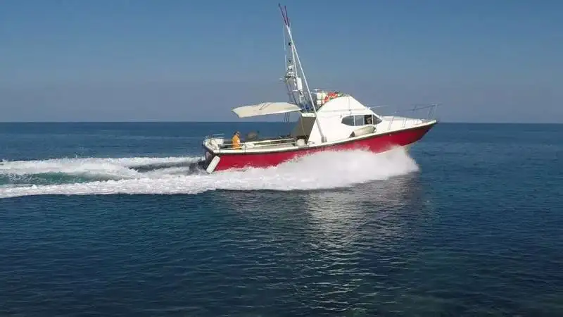 Barcos de trabalho à venda