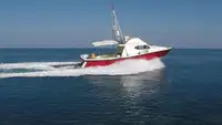 Barcos de trabalho à venda