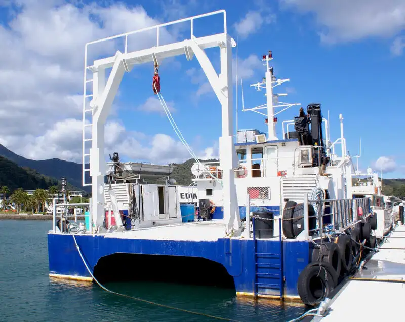 Catamarã à venda