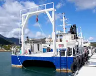 Catamarã à venda