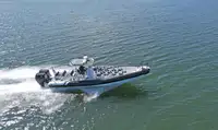 Barco inflável rígido à venda
