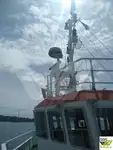Balsa de desembarque, tanque à venda