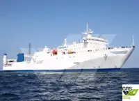 Ro-Ro ship à venda