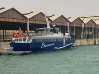 Navio de cruzeiro à venda